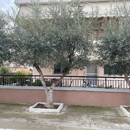 Olive * Dırama